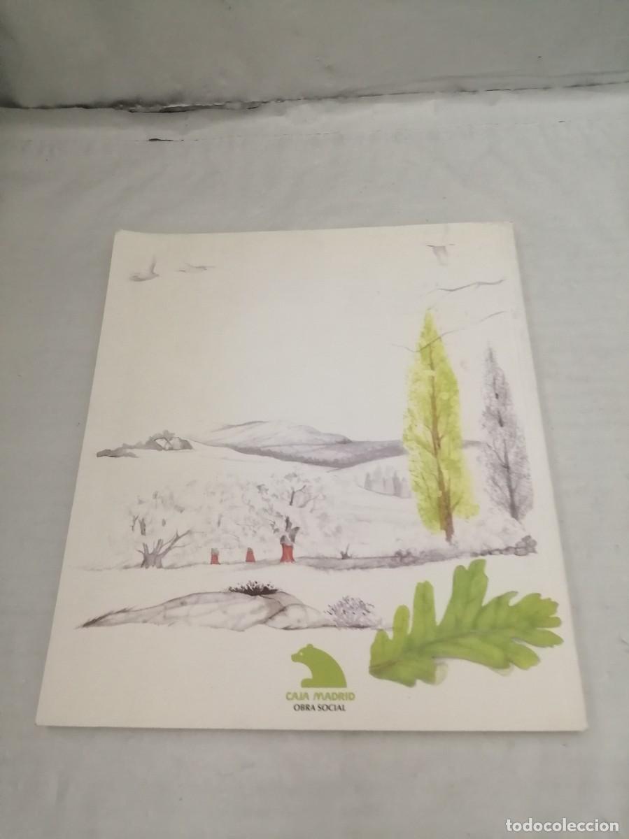 Libros de segunda mano: Bosque de bosques (Caja Madrid, 1998) - Foto 2