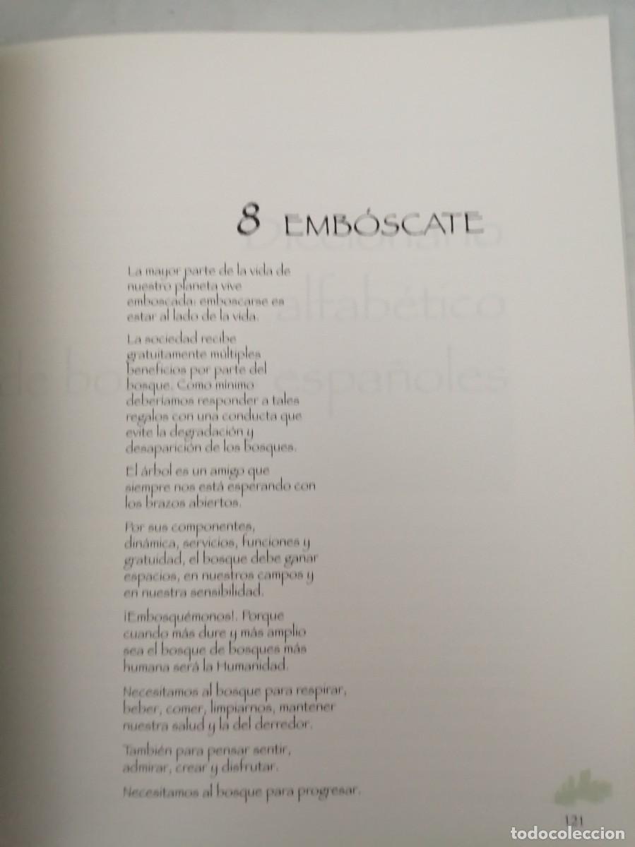 Libros de segunda mano: Bosque de bosques (Caja Madrid, 1998) - Foto 3