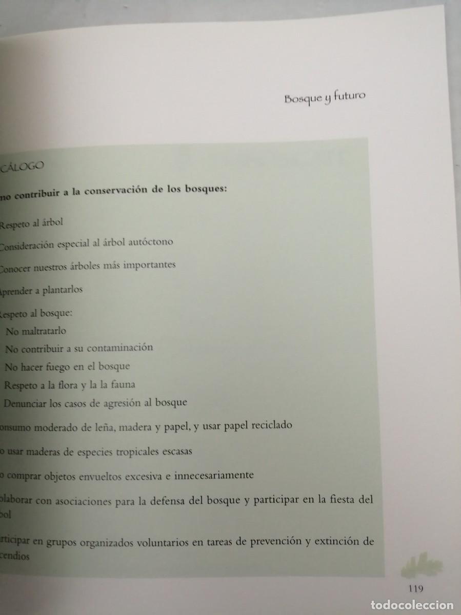 Libros de segunda mano: Bosque de bosques (Caja Madrid, 1998) - Foto 4