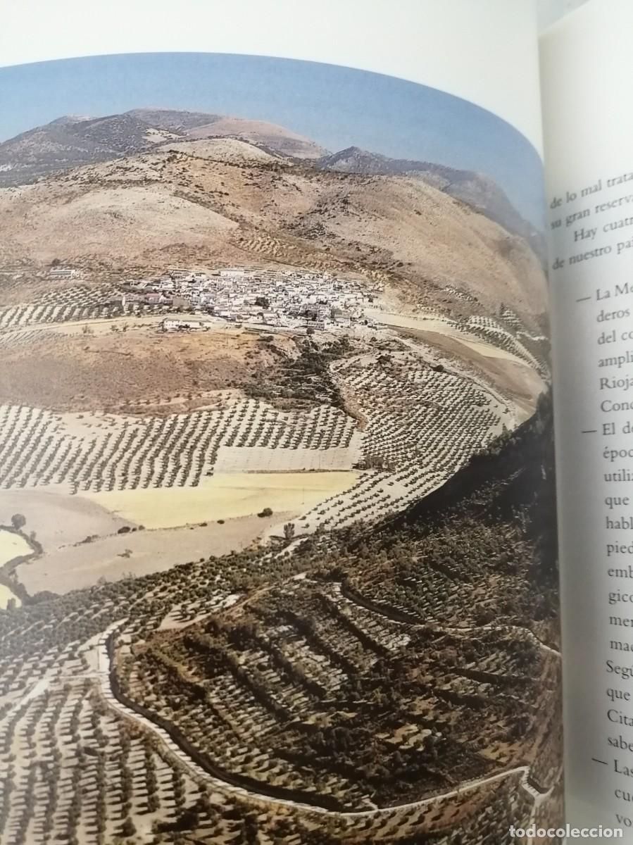 Libros de segunda mano: Bosque de bosques (Caja Madrid, 1998) - Foto 5