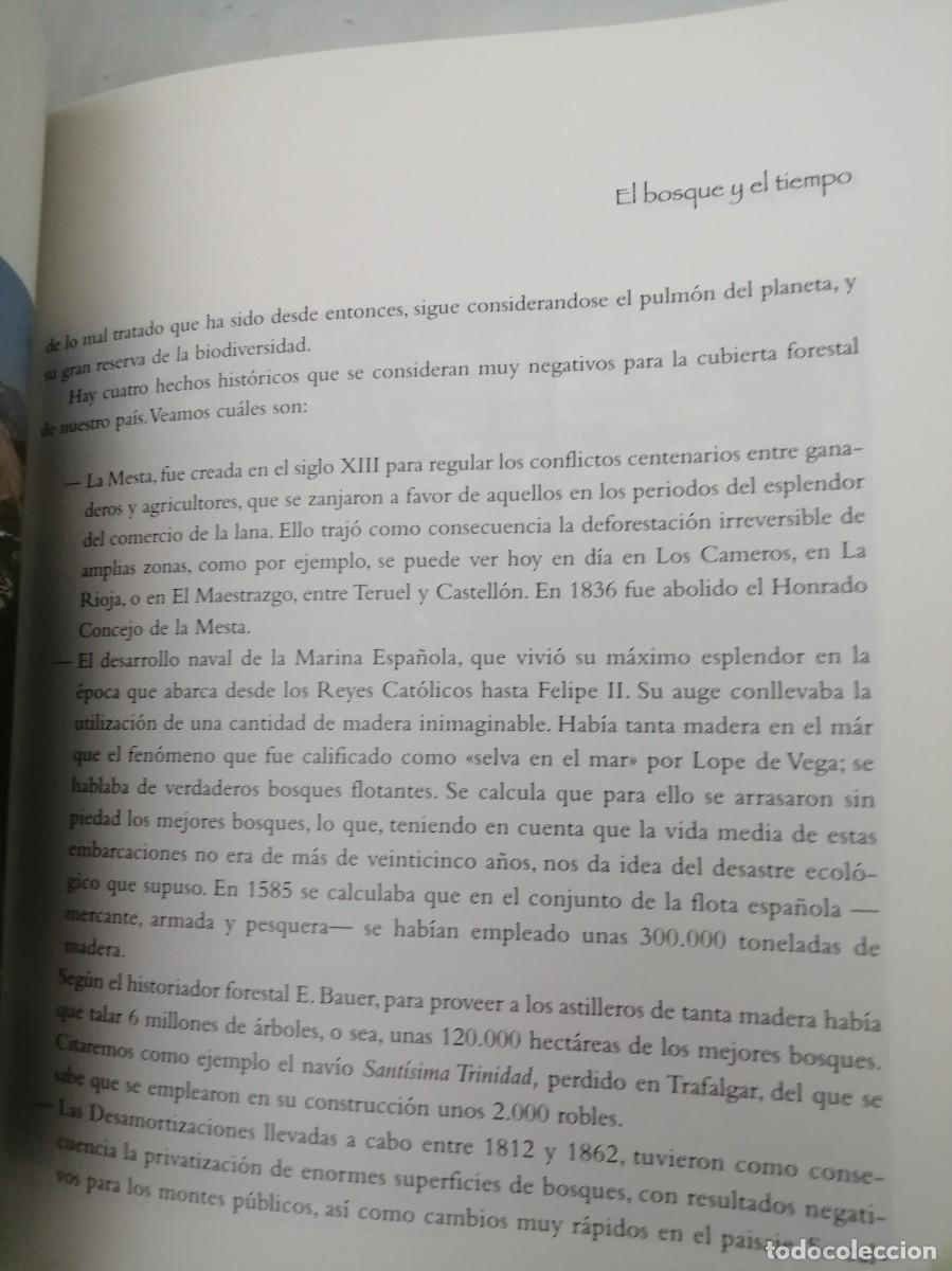 Libros de segunda mano: Bosque de bosques (Caja Madrid, 1998) - Foto 6