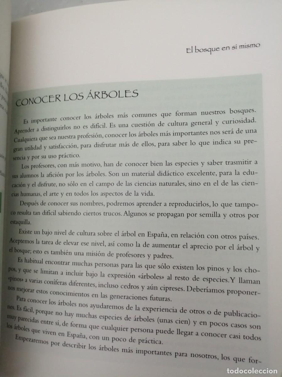 Libros de segunda mano: Bosque de bosques (Caja Madrid, 1998) - Foto 7