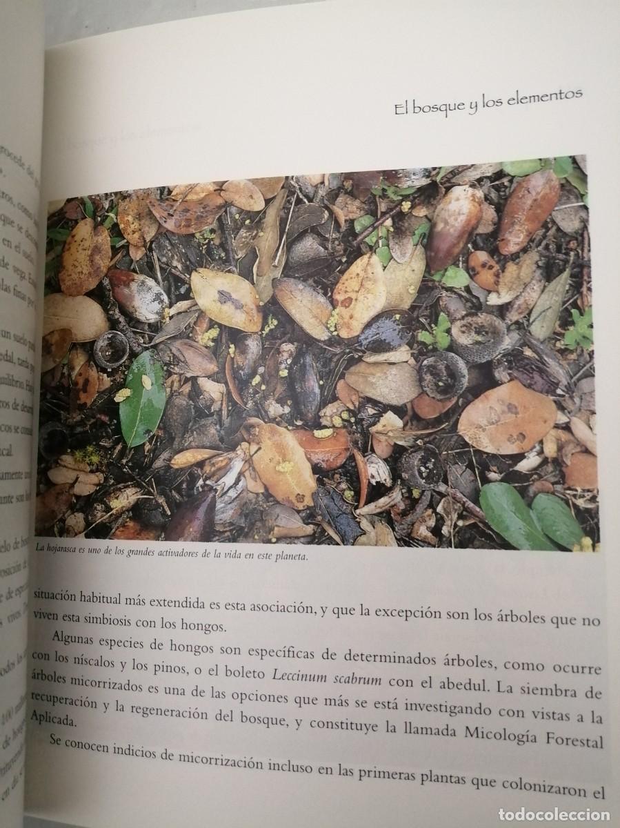 Libros de segunda mano: Bosque de bosques (Caja Madrid, 1998) - Foto 8