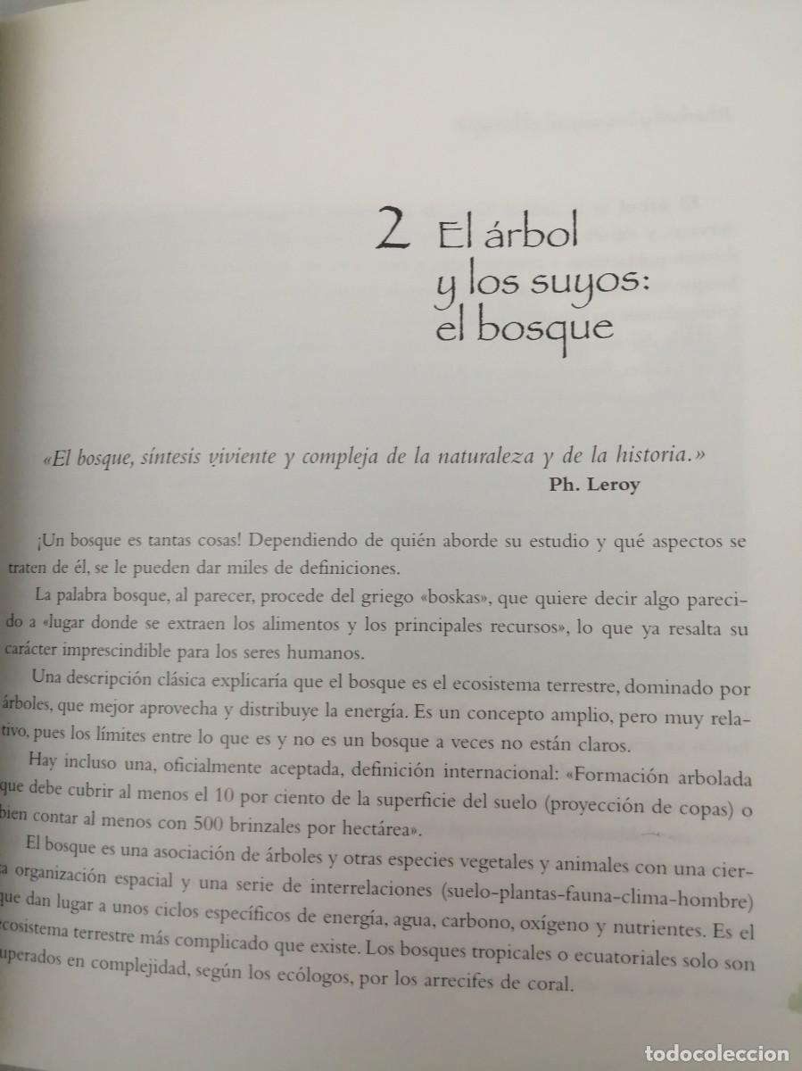 Libros de segunda mano: Bosque de bosques (Caja Madrid, 1998) - Foto 9