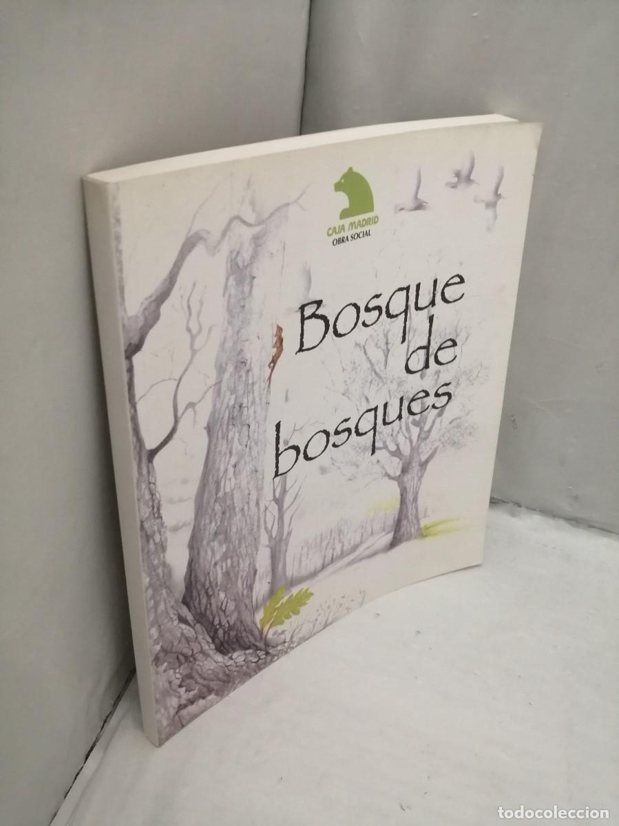 Libros de segunda mano: Bosque de bosques (Caja Madrid, 1998) - Foto 10