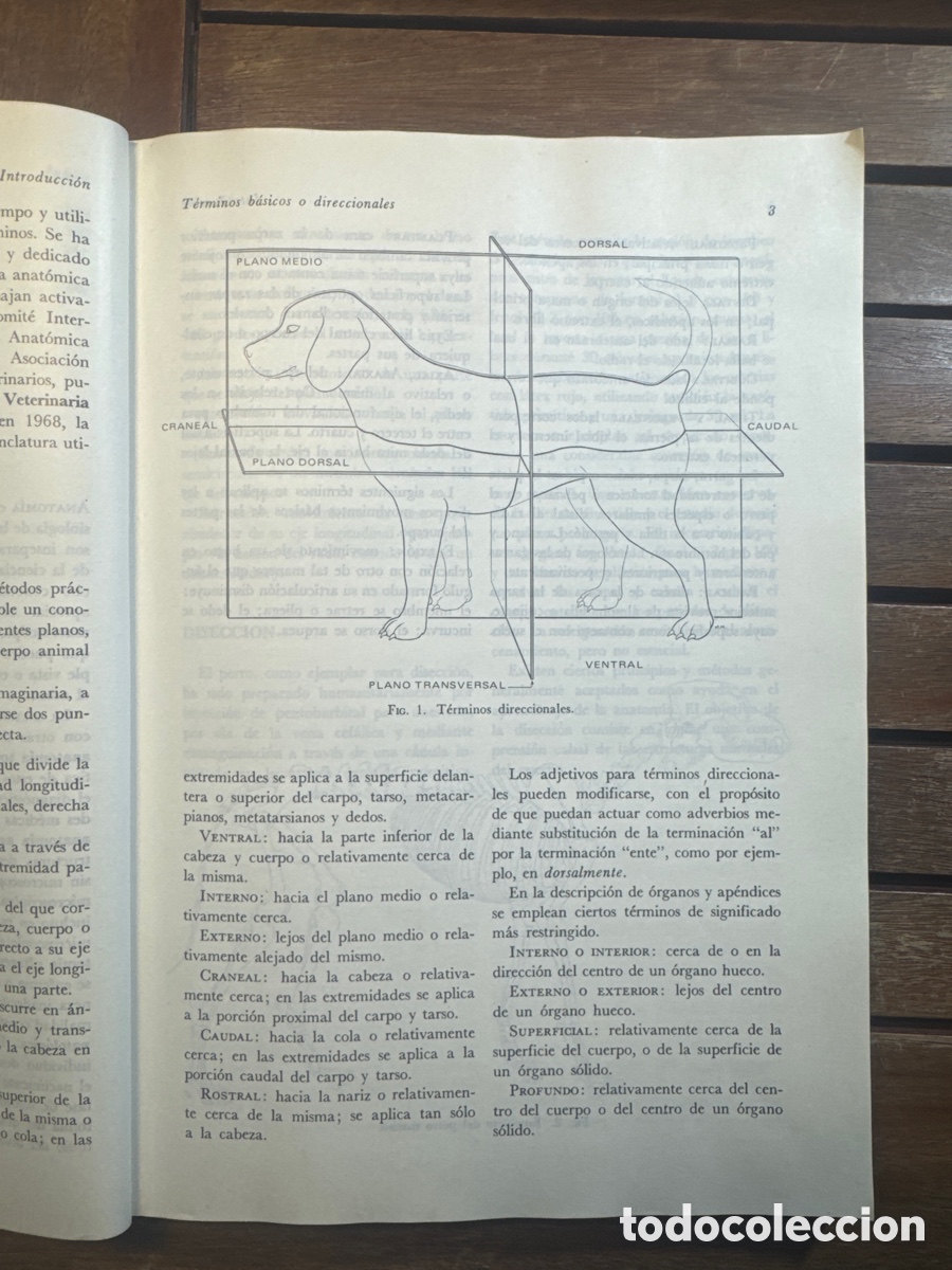 Libros de segunda mano: Disecci&oacute;n del perro de Miller Howard E. Evans - Foto 6
