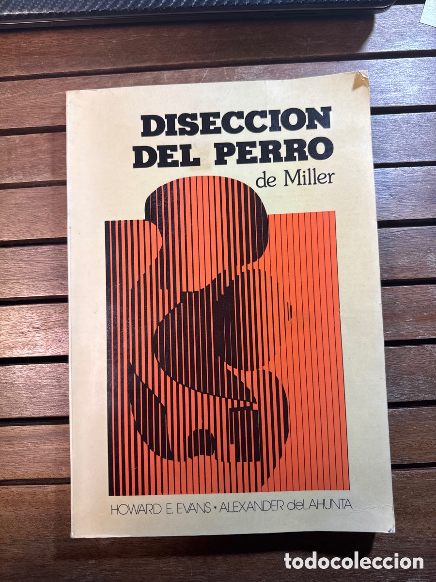 Libros de segunda mano: Disecci&oacute;n del perro de Miller Howard E. Evans - Foto 1