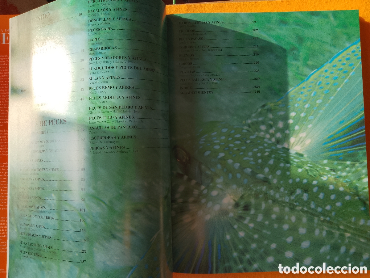Libros de segunda mano: ENCICLOPEDIA DE LOS PECES . (Lunwerg Editores-1994) - Foto 4