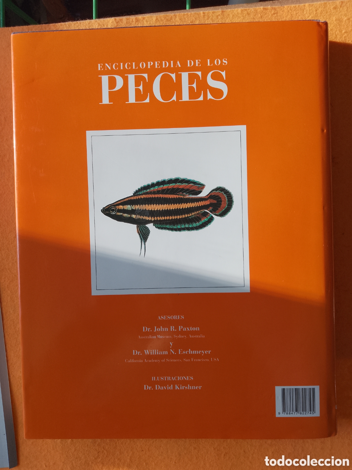 Libros de segunda mano: ENCICLOPEDIA DE LOS PECES . (Lunwerg Editores-1994) - Foto 2