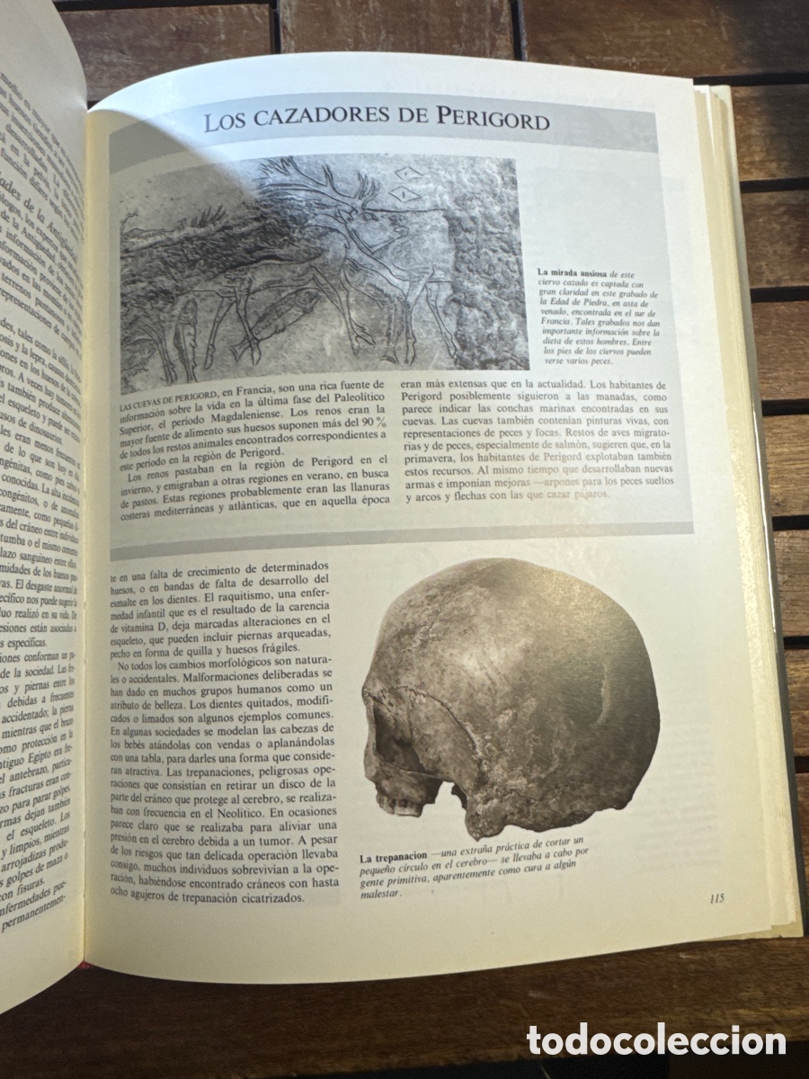 Libros de segunda mano: Gu&iacute;a pr&aacute;ctica de arqueolog&iacute;a Jane McIntosh - Foto 4