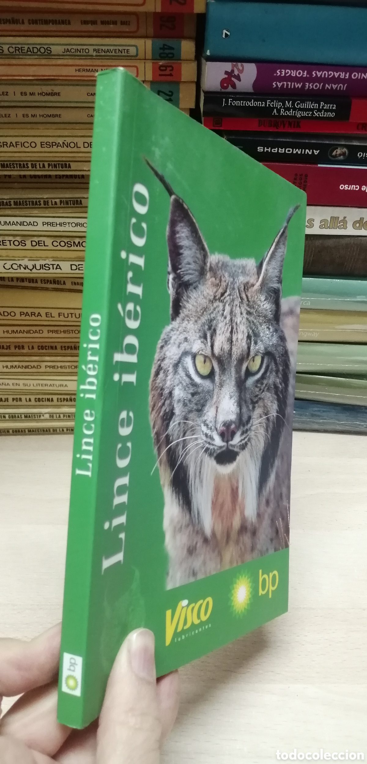 Libros de segunda mano: El lince ib&eacute;rico WWF / Adena - Foto 2