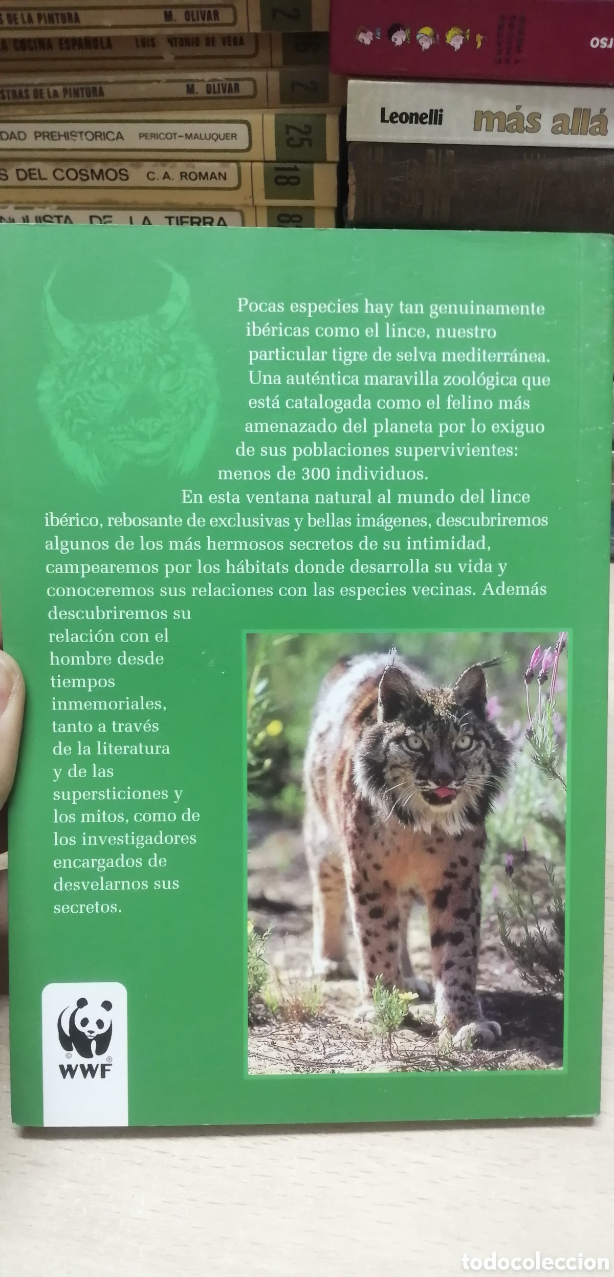 Libros de segunda mano: El lince ib&eacute;rico WWF / Adena - Foto 4