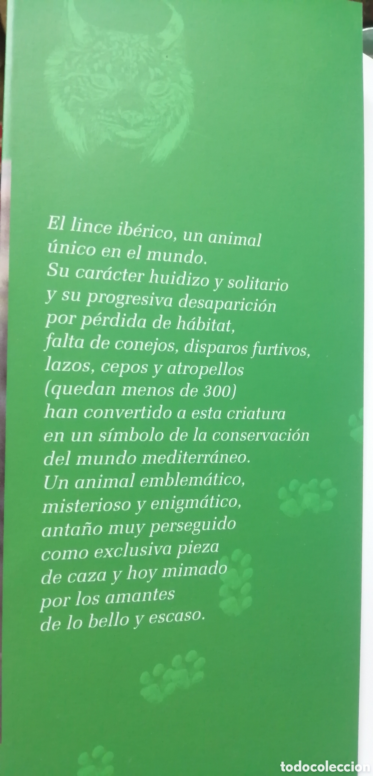 Libros de segunda mano: El lince ib&eacute;rico WWF / Adena - Foto 5
