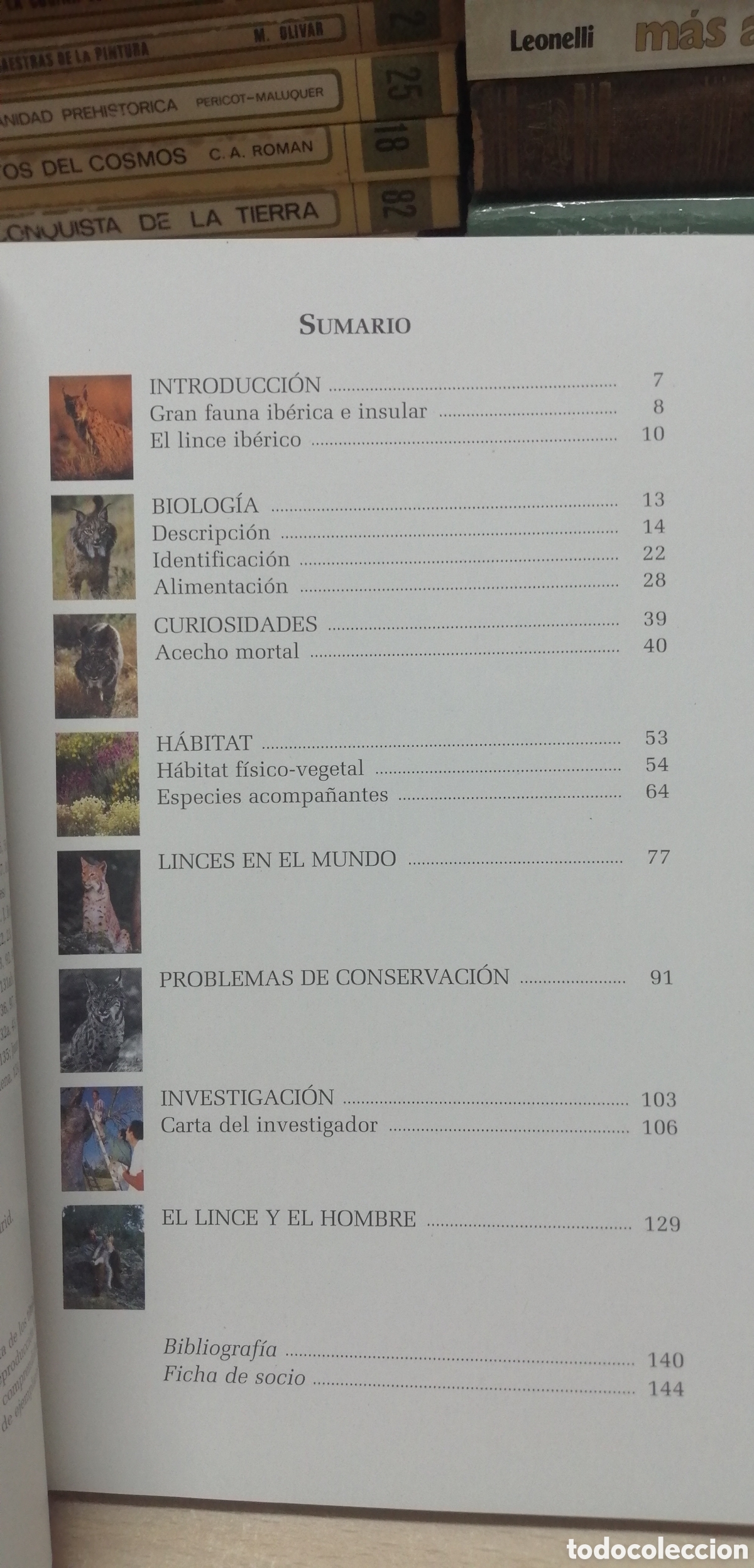 Libros de segunda mano: El lince ib&eacute;rico WWF / Adena - Foto 7