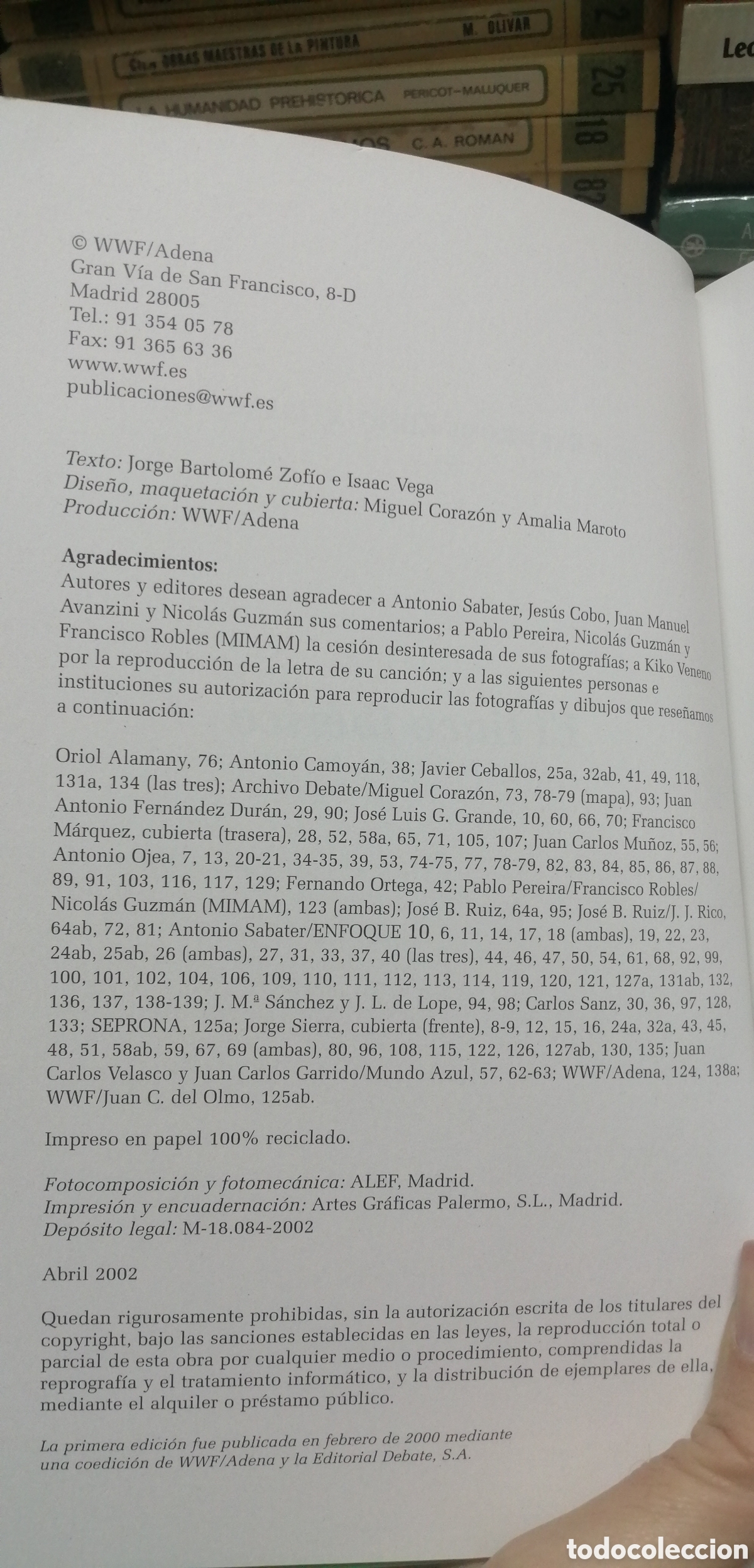 Libros de segunda mano: El lince ib&eacute;rico WWF / Adena - Foto 8