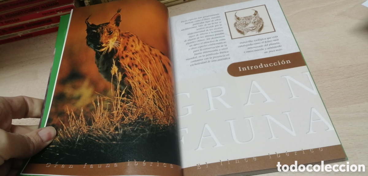Libros de segunda mano: El lince ib&eacute;rico WWF / Adena - Foto 9