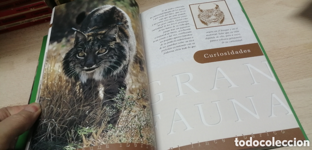 Libros de segunda mano: El lince ib&eacute;rico WWF / Adena - Foto 10