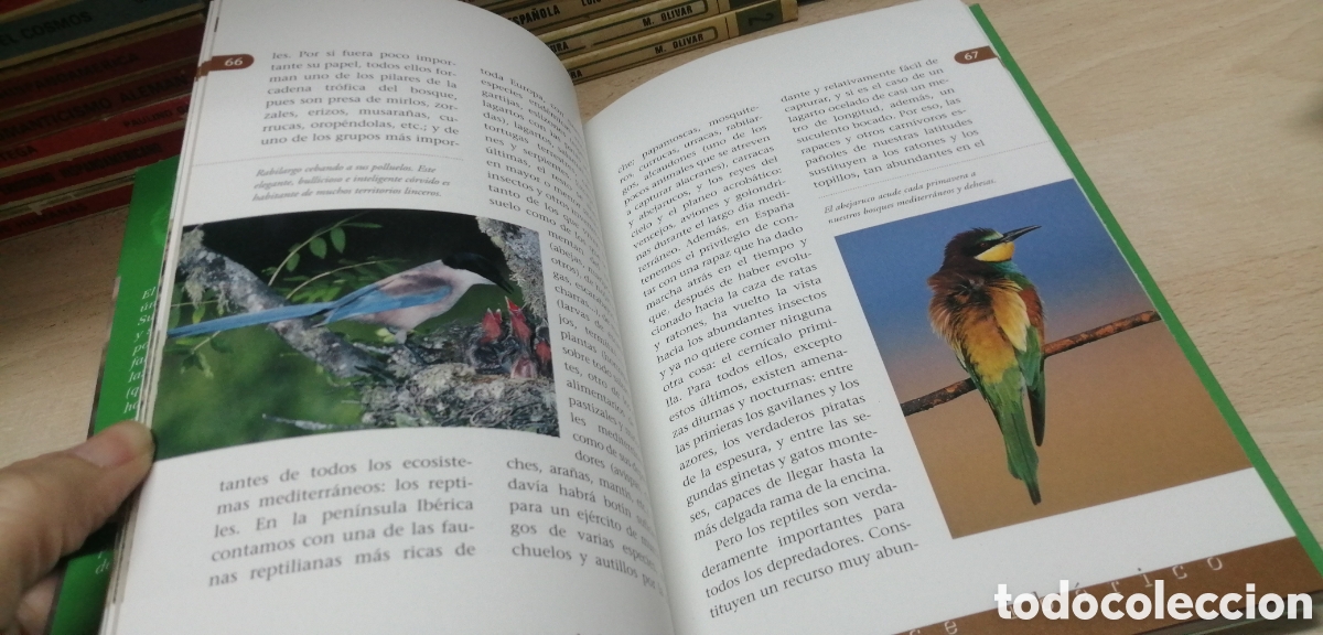 Libros de segunda mano: El lince ib&eacute;rico WWF / Adena - Foto 12