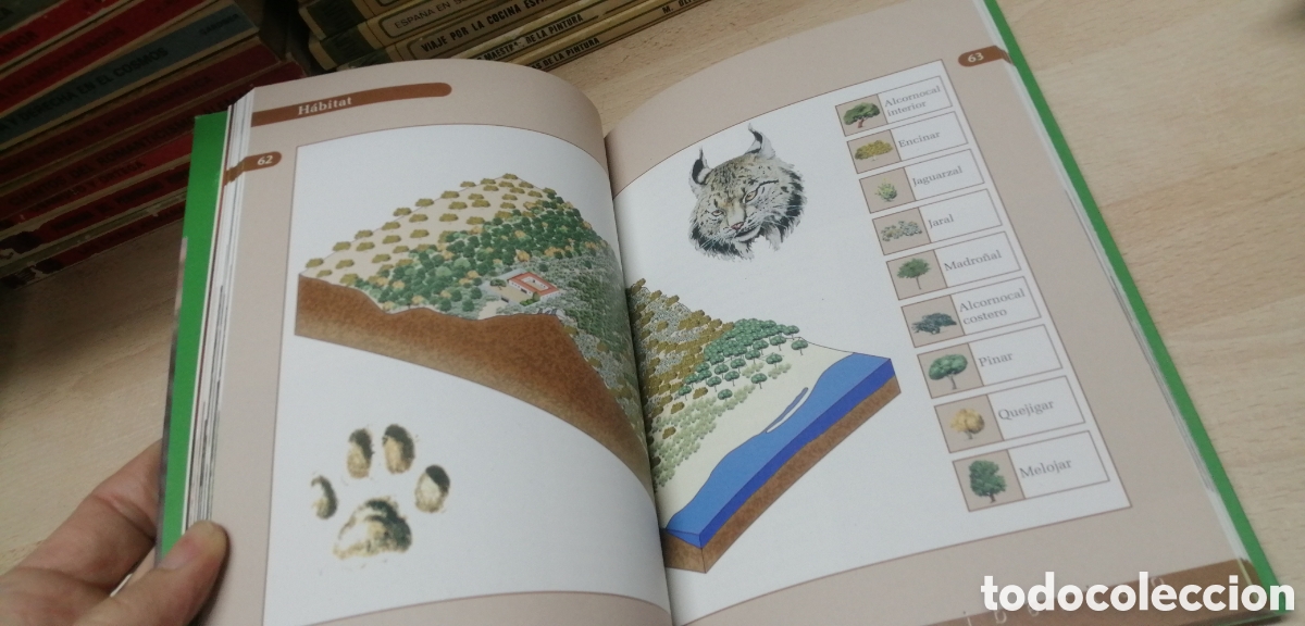 Libros de segunda mano: El lince ib&eacute;rico WWF / Adena - Foto 13