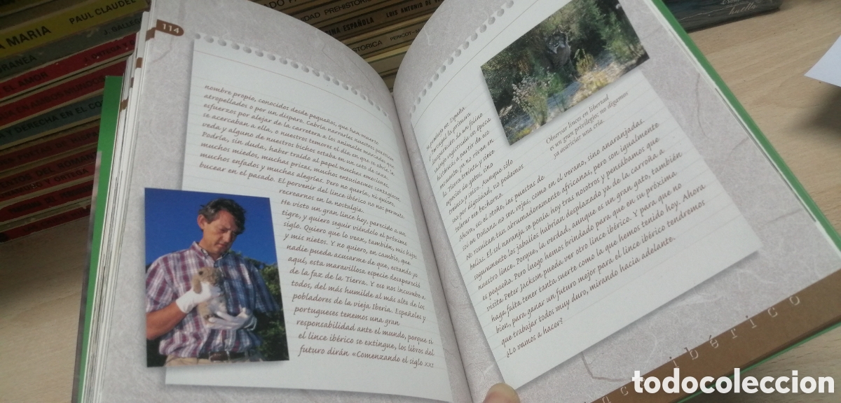Libros de segunda mano: El lince ib&eacute;rico WWF / Adena - Foto 14