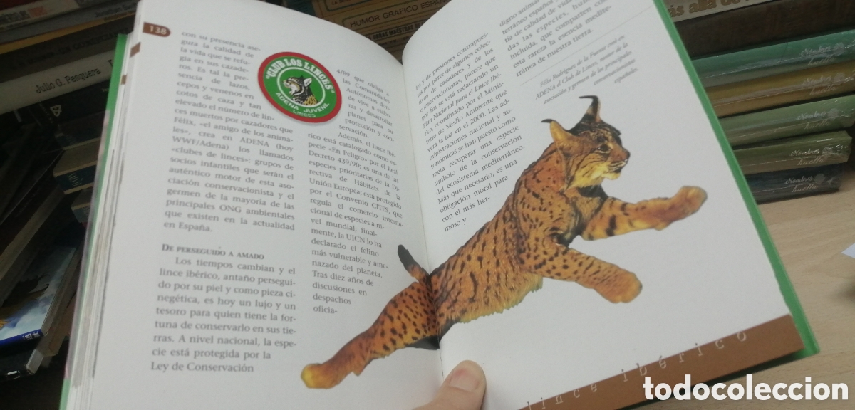 Libros de segunda mano: El lince ib&eacute;rico WWF / Adena - Foto 16