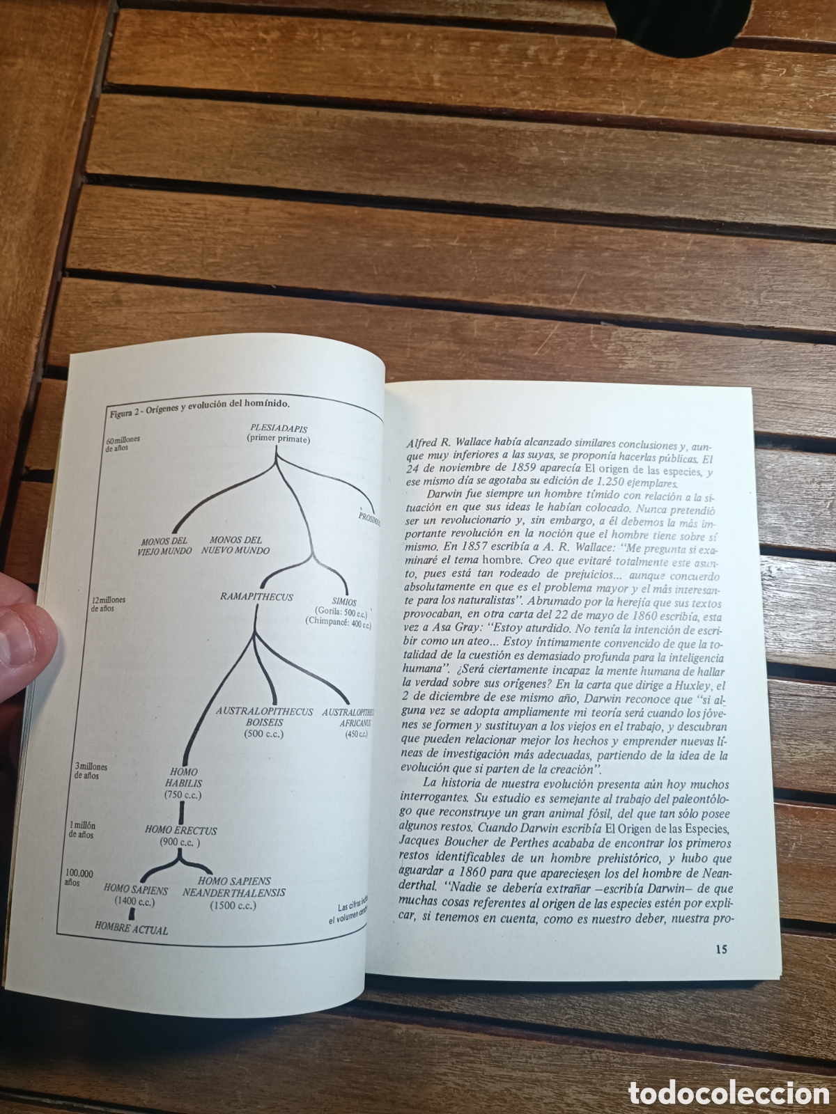 Libros de segunda mano: Recuerdos del desarrollo de mis ideas y caracter Darwin Charles laberinto - Foto 5