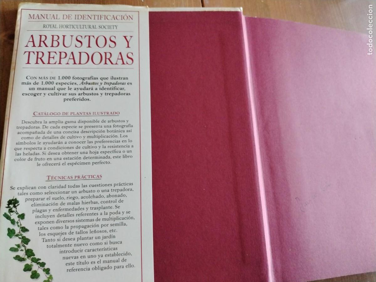 Libros de segunda mano: Arbustos y trepadoras -manual de identificaci&oacute;n - Foto 4