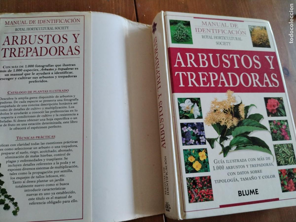Libros de segunda mano: Arbustos y trepadoras -manual de identificaci&oacute;n - Foto 5