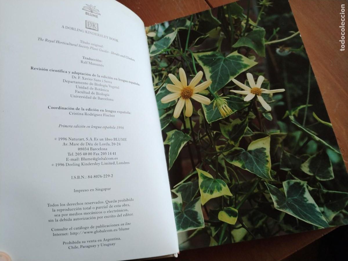 Libros de segunda mano: Arbustos y trepadoras -manual de identificaci&oacute;n - Foto 8