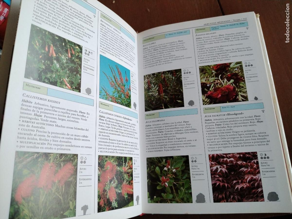 Libros de segunda mano: Arbustos y trepadoras -manual de identificaci&oacute;n - Foto 10