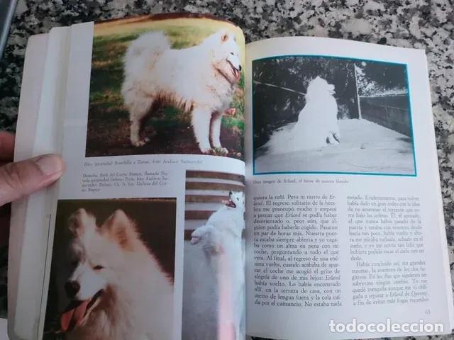Libros de segunda mano: El Samoyedo, de Renata Fossati - Foto 4