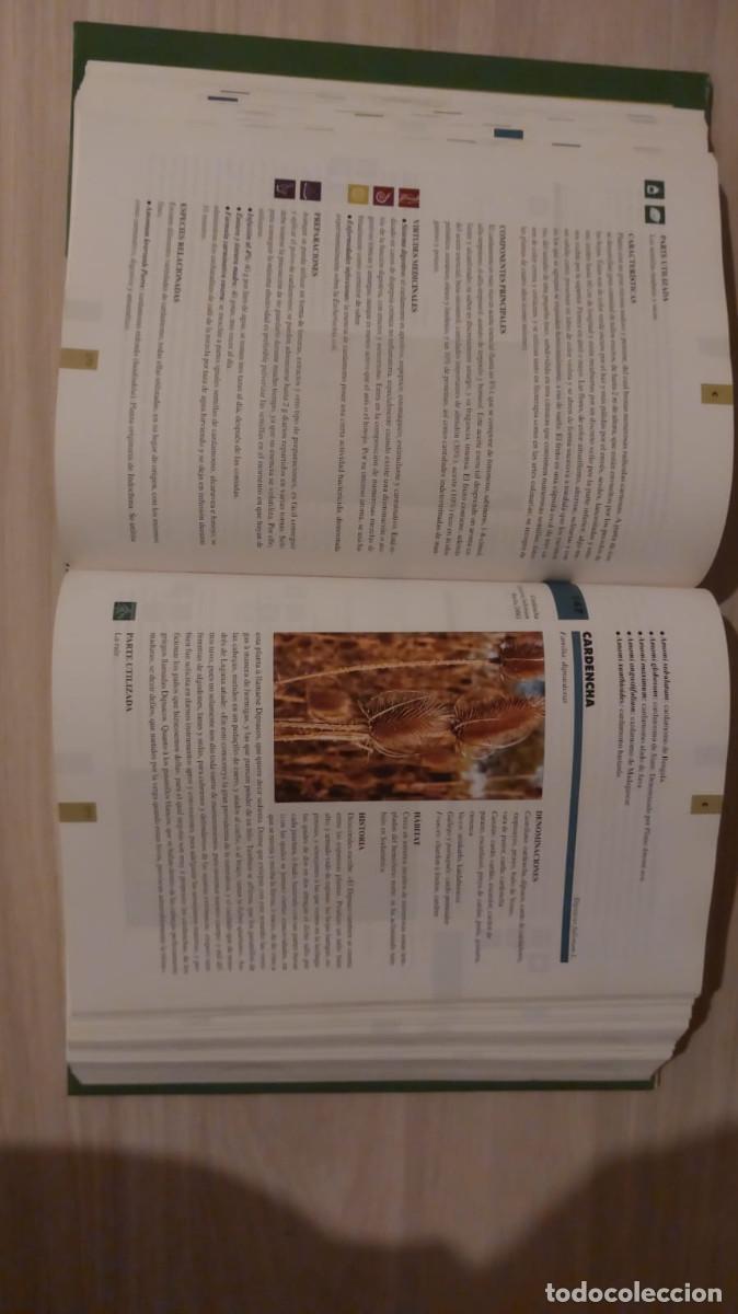 Libros de segunda mano: Gran Enciclopedia De Las Plantas Medicinales , edit. TIKAL - Foto 2
