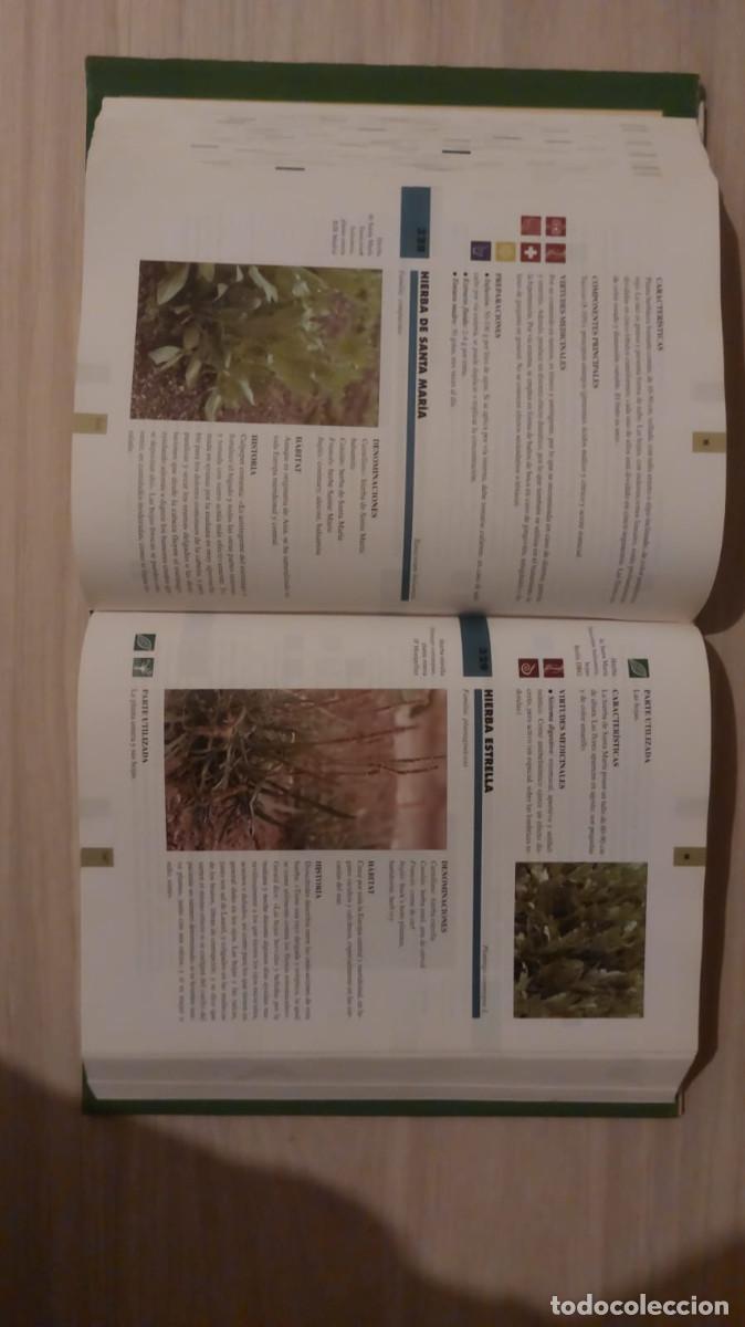 Libros de segunda mano: Gran Enciclopedia De Las Plantas Medicinales , edit. TIKAL - Foto 3