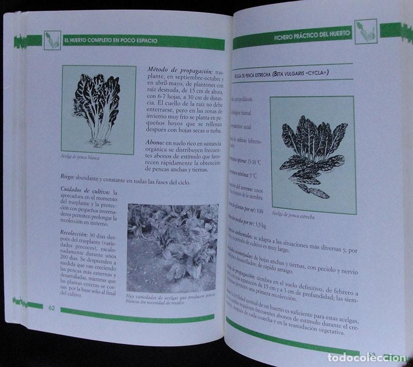 Libros de segunda mano: EL HUERTO COMPLETO EN POCO ESPACIO - FAUSTA MAINARDI FAZIO - - Foto 3