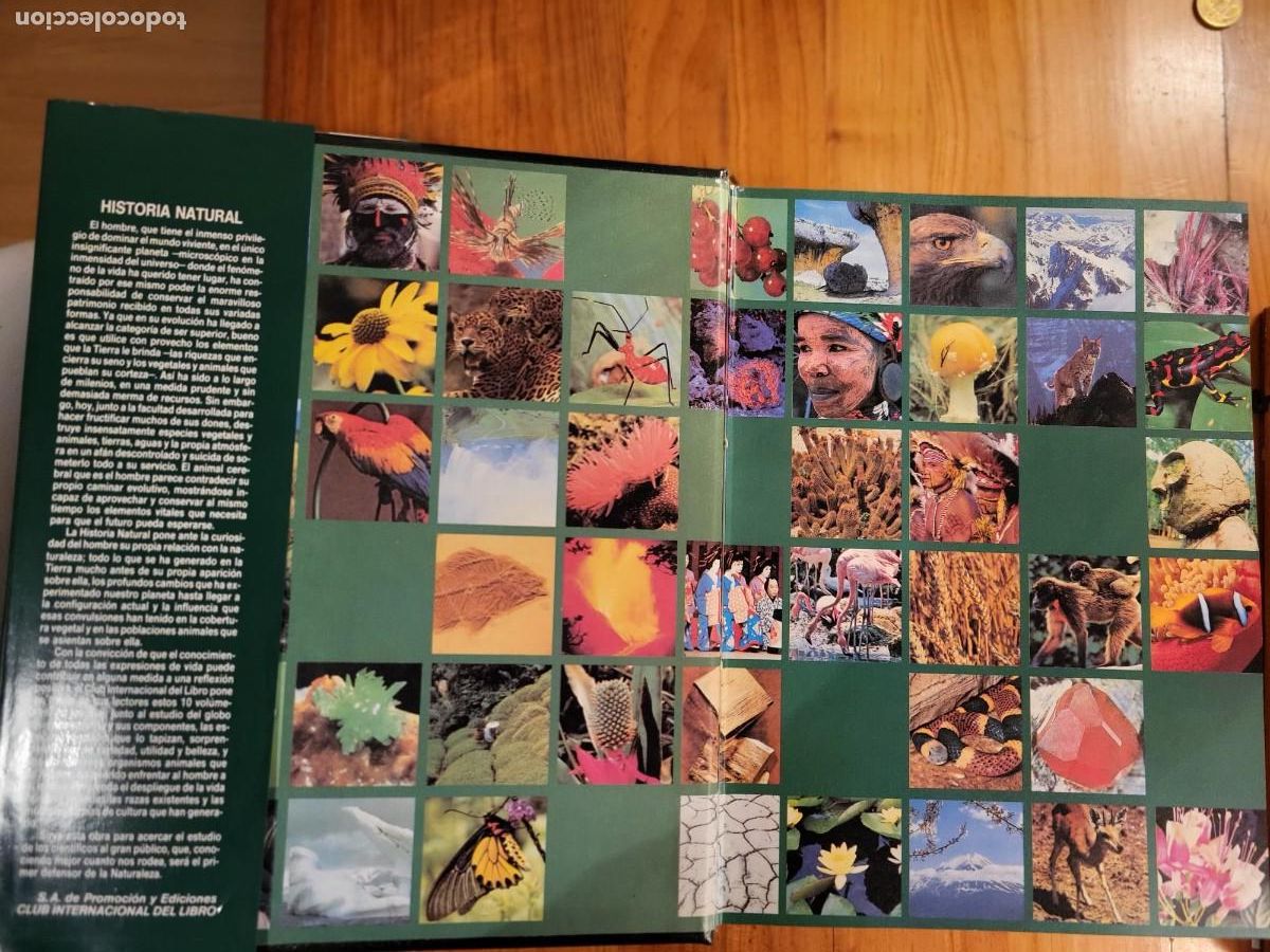 Libros de segunda mano: HISTORIA NATURAL FLORA - Foto 2