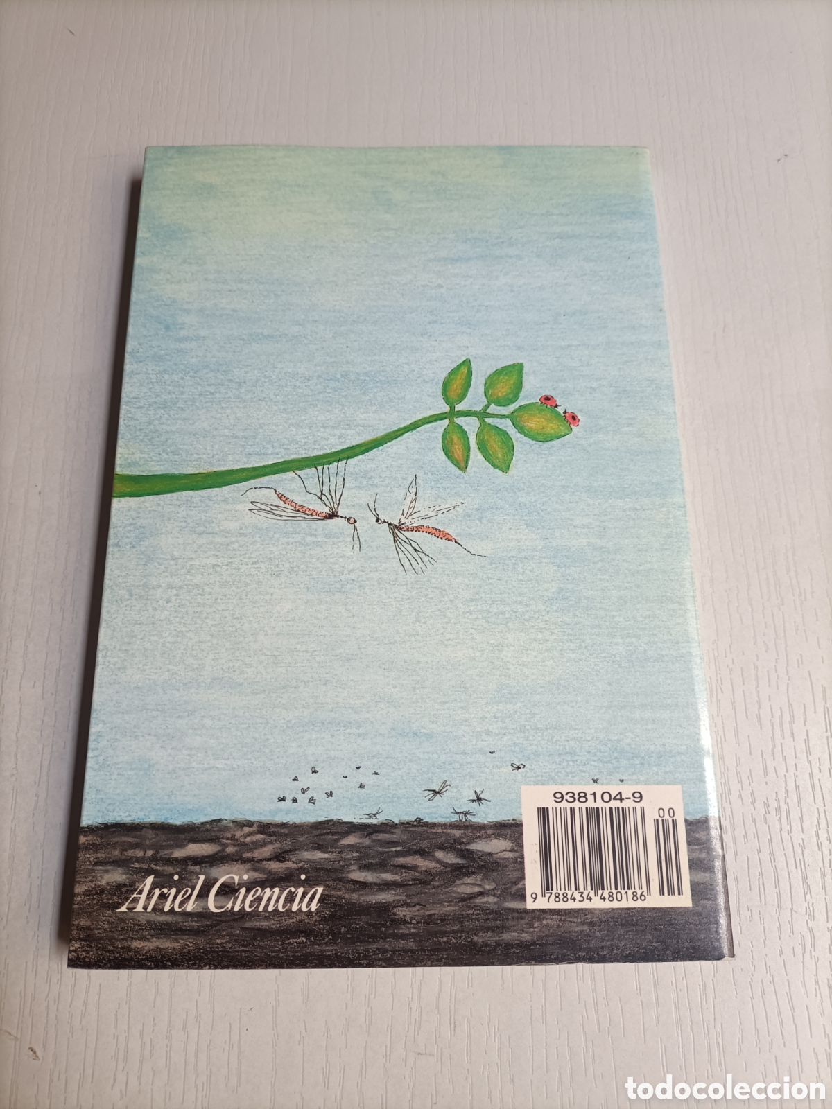 Libros de segunda mano: Elogio del insecto Enrico Stella - Foto 5