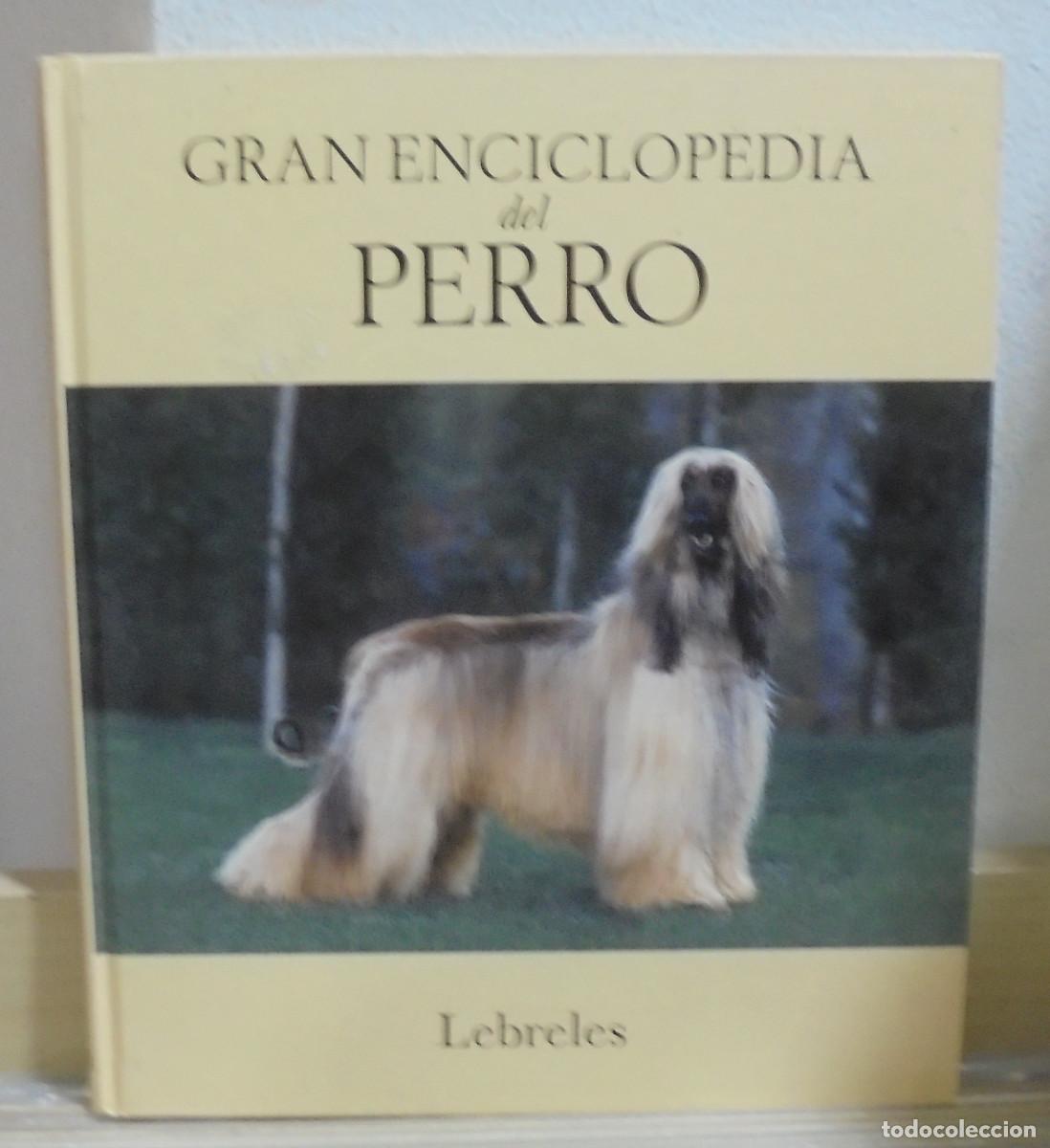 Libros de segunda mano: Gran enciclopedia del perro, n&ordm; 30. Lebreles - Foto 1