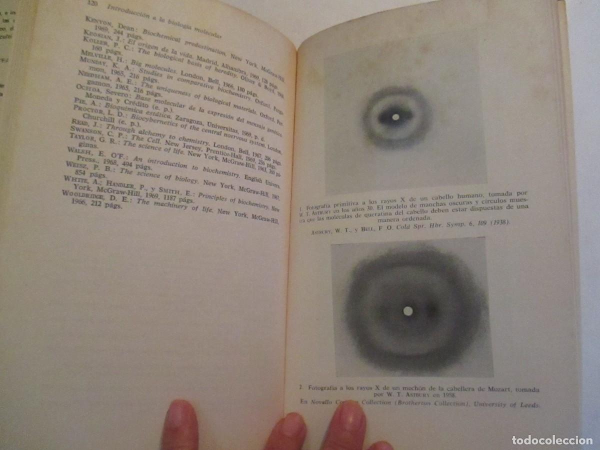 Libros de segunda mano: J.C. KENDREW Introducci&oacute;n a la biolog&iacute;a molecular W32722 - Foto 2