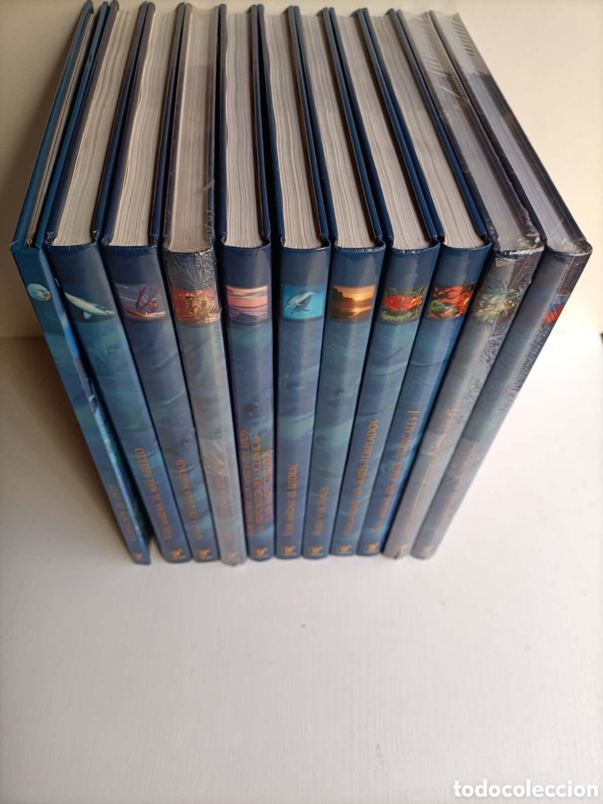 Libros de segunda mano: El mundo submarino.10 tomos + 6 DVD . Ediciones rueda - Foto 2