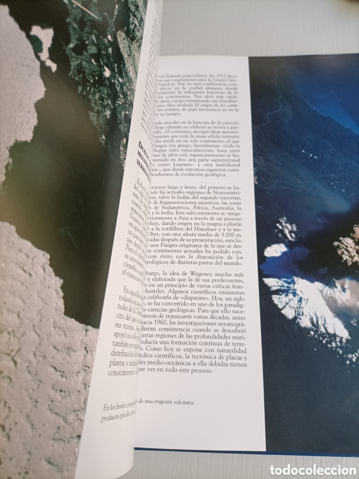 Libros de segunda mano: El mundo submarino.10 tomos + 6 DVD . Ediciones rueda - Foto 13