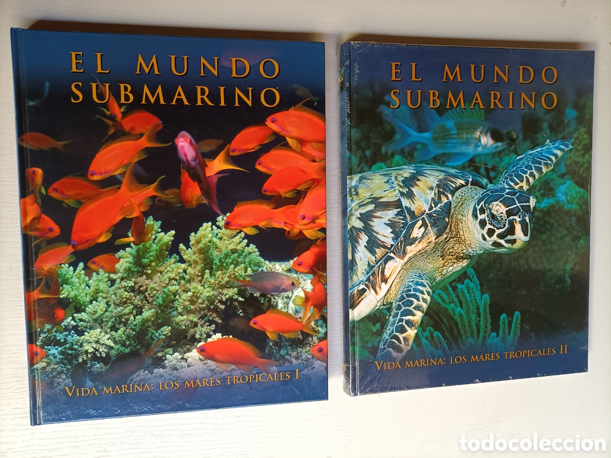 Libros de segunda mano: El mundo submarino.10 tomos + 6 DVD . Ediciones rueda - Foto 15