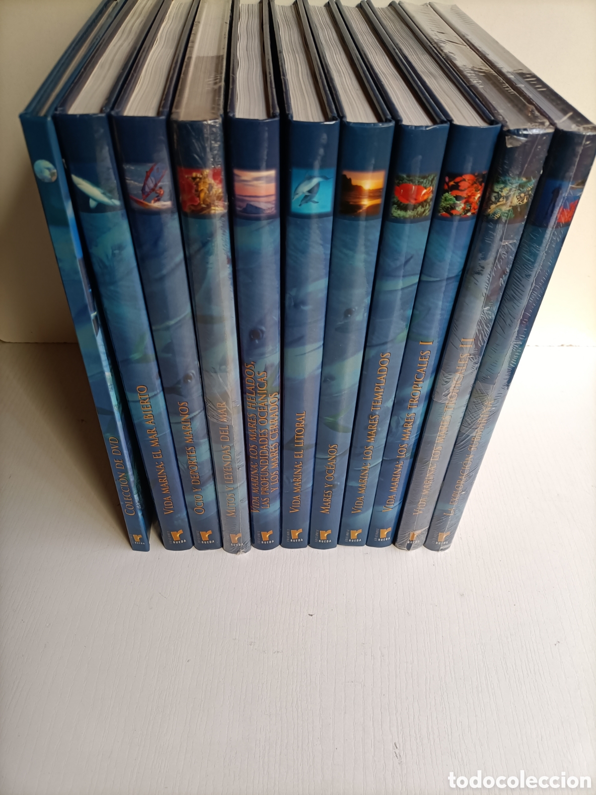 Libros de segunda mano: El mundo submarino.10 tomos + 6 DVD . Ediciones rueda - Foto 1