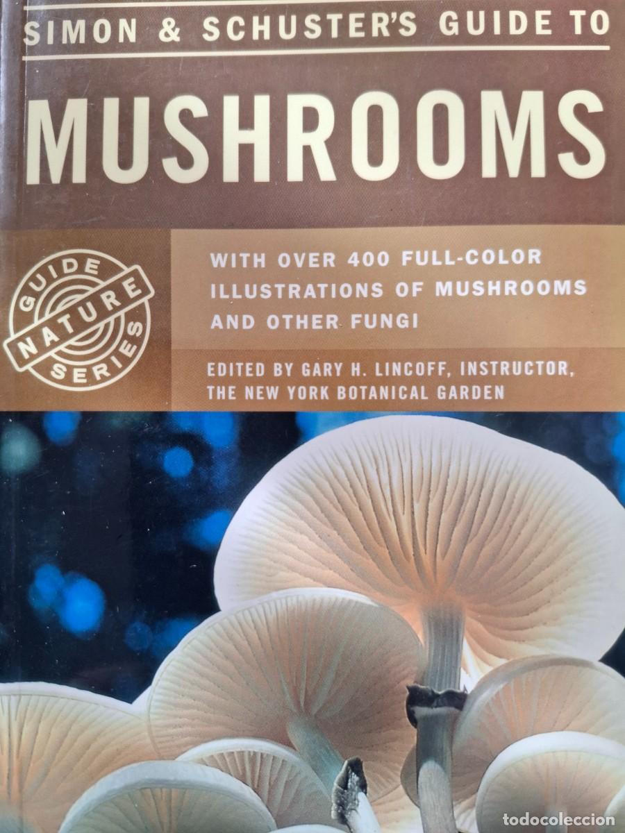Libros de segunda mano: guide to mushrooms Giovanni Pacioni ed Simon and Schusters - Foto 1