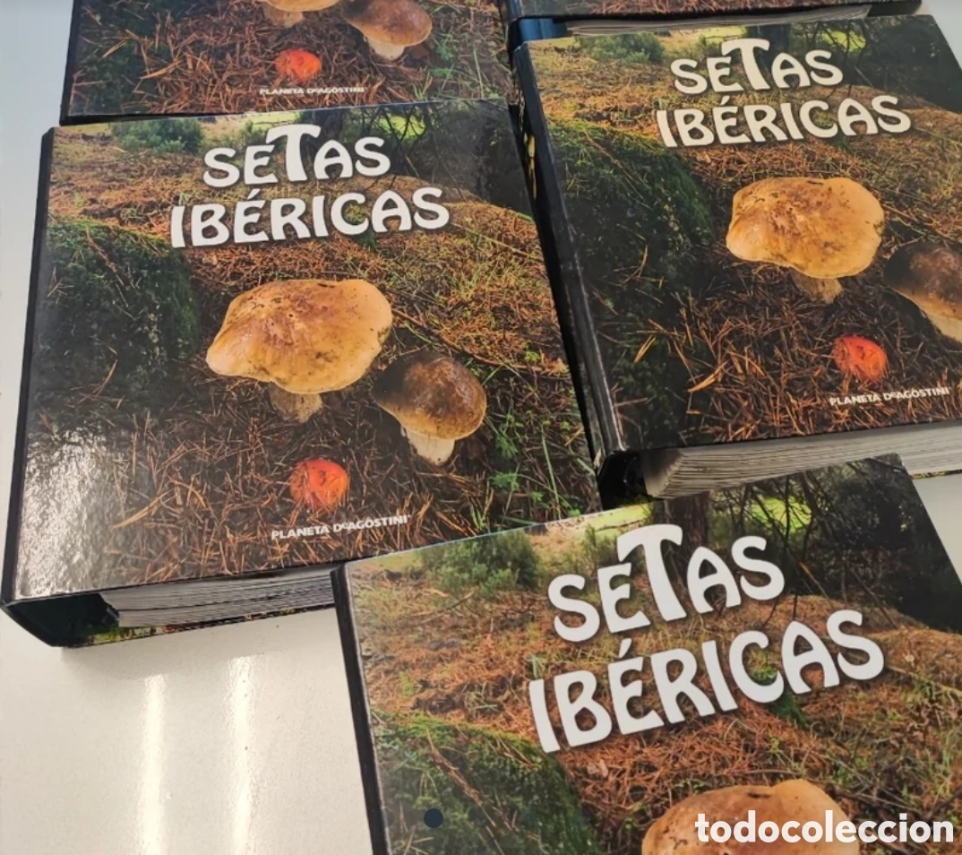 Libros de segunda mano: SETAS IBERICAS. COMPLETA.PLANETA AGOSTINI. - Foto 2