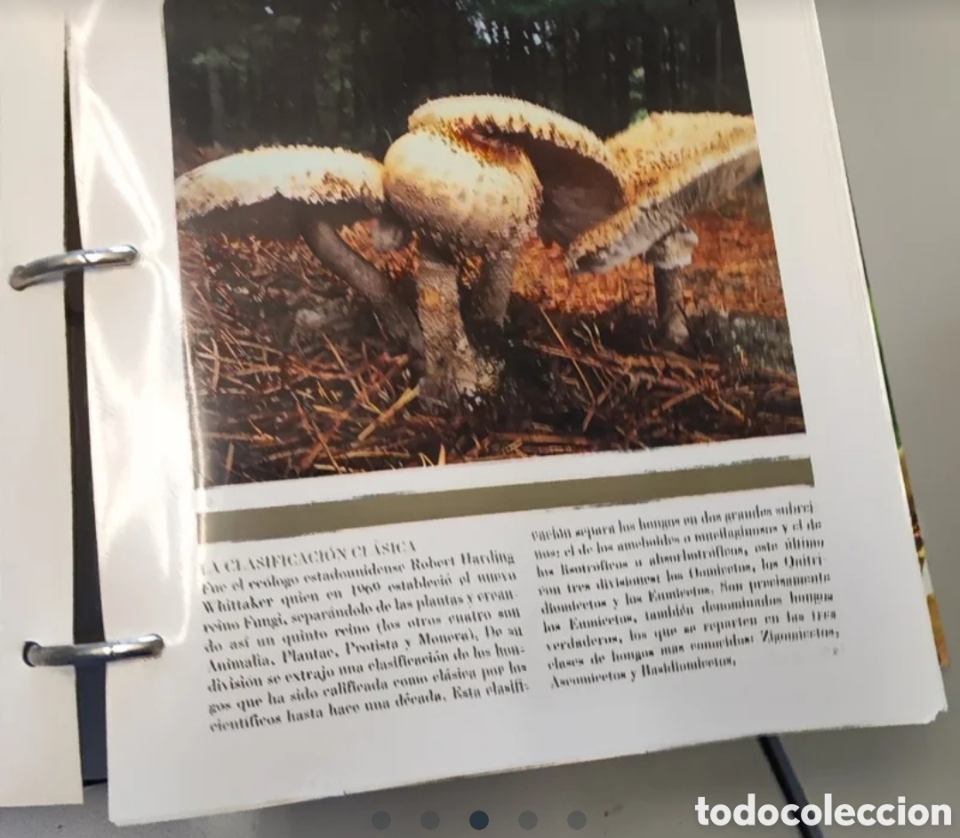 Libros de segunda mano: SETAS IBERICAS. COMPLETA.PLANETA AGOSTINI. - Foto 4