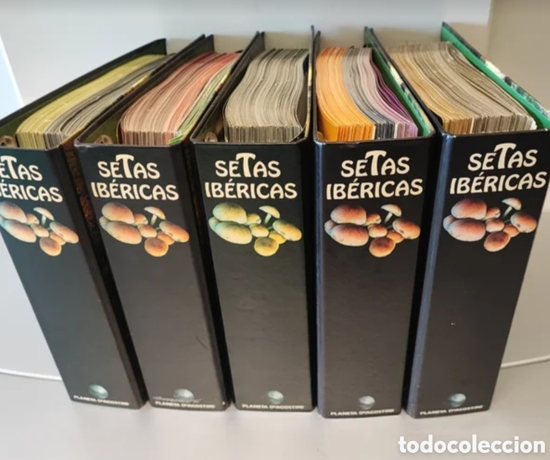 Libros de segunda mano: SETAS IBERICAS. COMPLETA.PLANETA AGOSTINI. - Foto 1