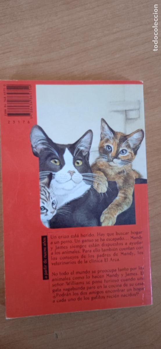 Libros de segunda mano: GATITOS EN LA COCINA. LUCY DANIELS. SM. EL ARCA. - Foto 2