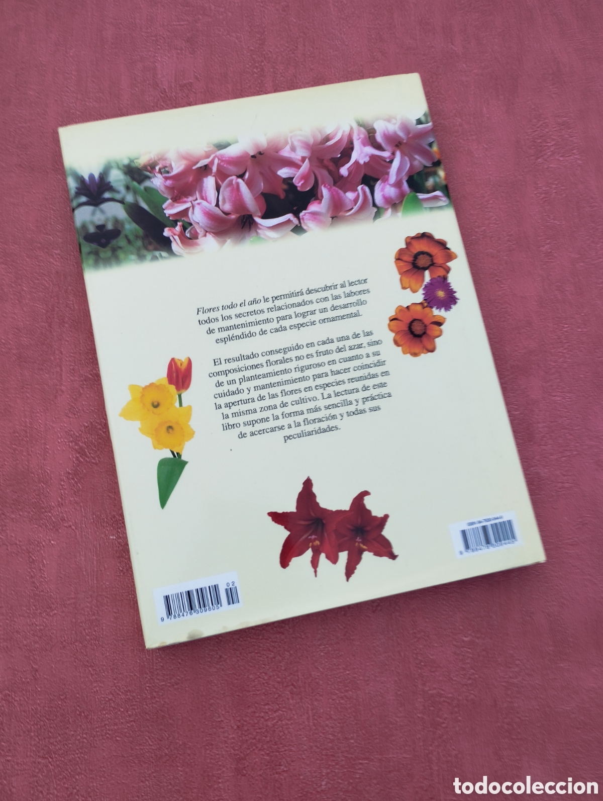Libros de segunda mano: Flores todo el a&ntilde;o. Francisco Javier Alonso de la Paz. - Foto 3