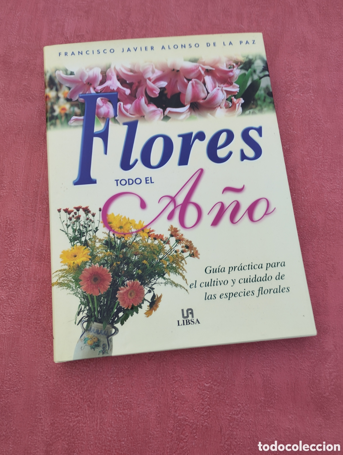 Libros de segunda mano: Flores todo el a&ntilde;o. Francisco Javier Alonso de la Paz. - Foto 1