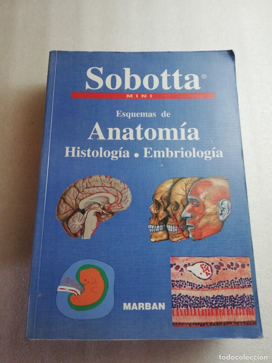 Libros de segunda mano: ESQUEMAS DE ANATOM&Iacute;A - HISTOLOG&Iacute;A. EMBRIOLOG&Iacute;A - SOBOTTA MINI - Foto 1